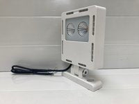 led verstraler 25 watt