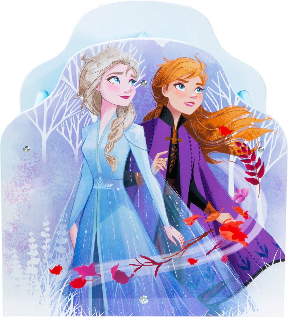 Boekenrek: Disney Frozen 2 (40x40x35 cm)