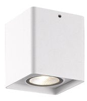 Plafondlamp wit binnen/buiten LED 9W